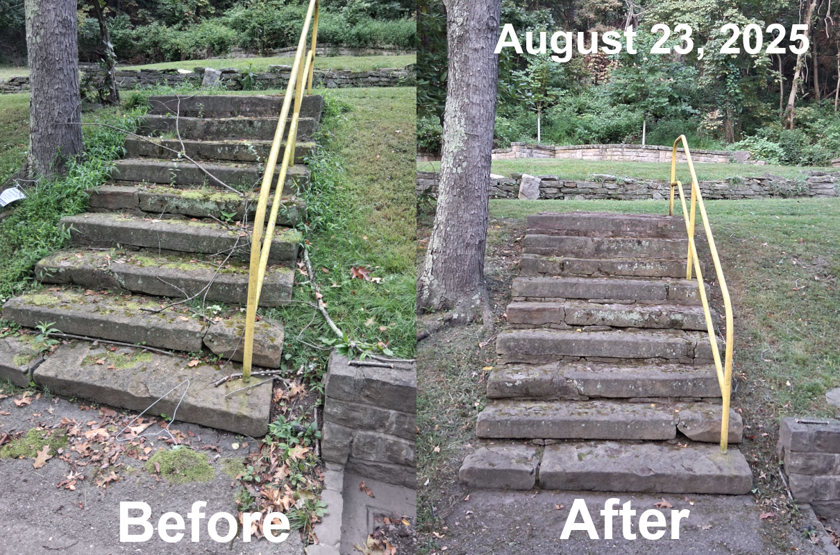 Before and after:  steps to former cook-out area, August 23, 2025